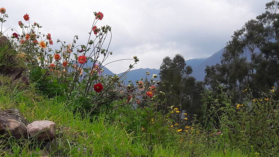 468563182 10164459958822926 7827269790800046465 n