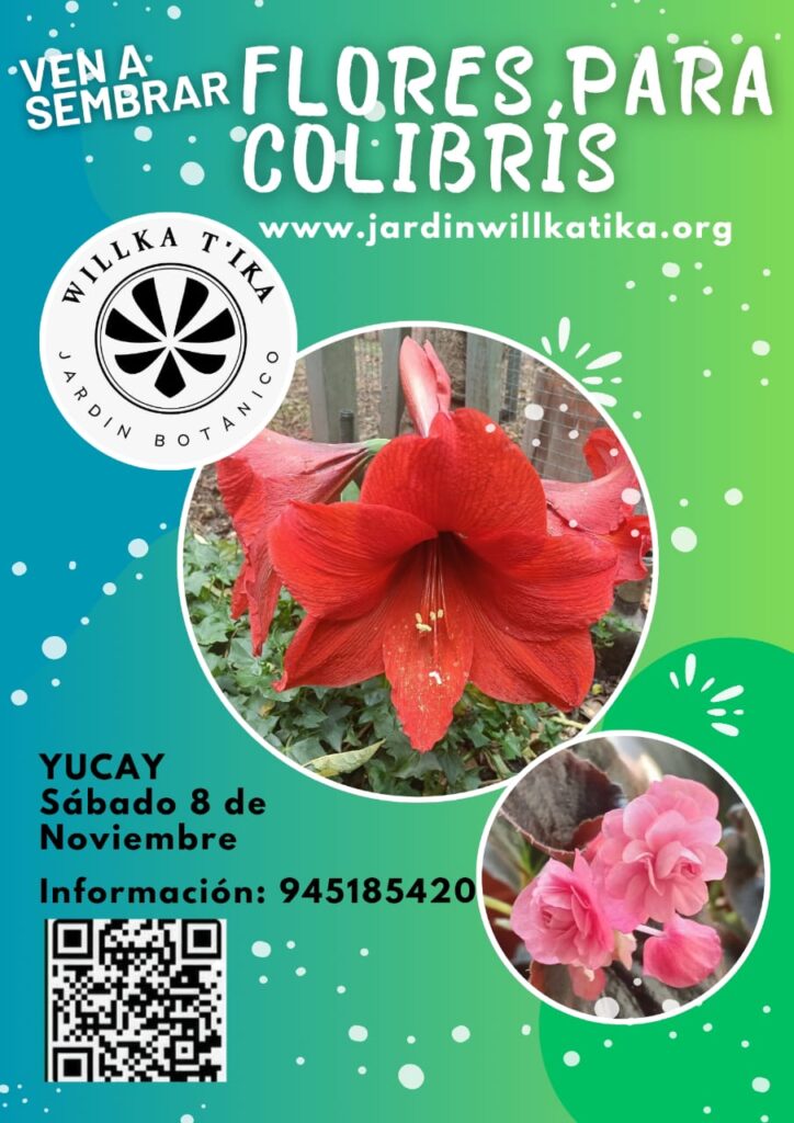 whatsapp image 2025 10 27 at 22.48.04